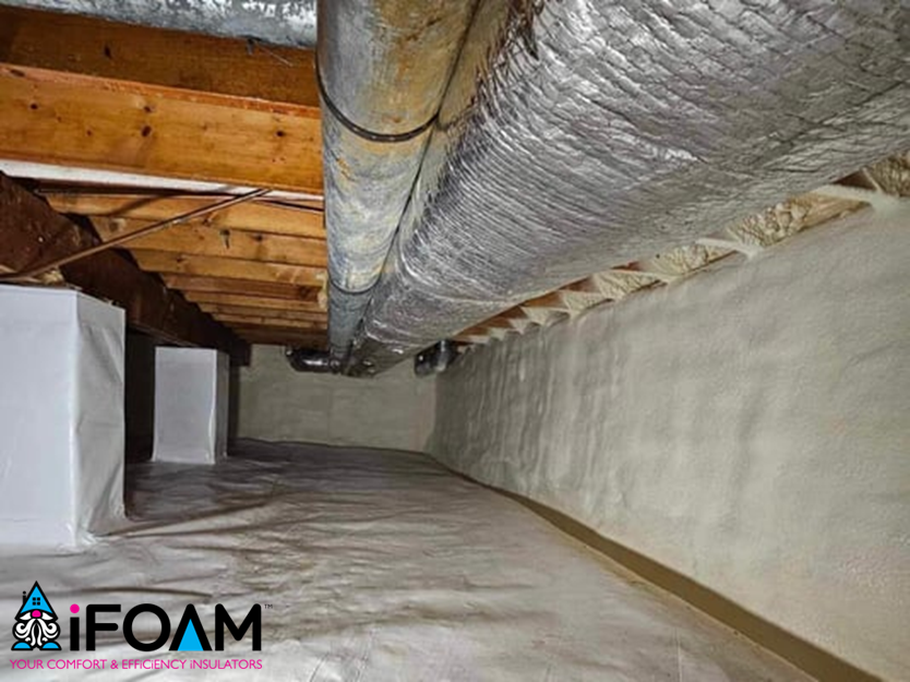 Vapor Barriers vs. Crawl Space Encapsulation | Charlotte NC Guide